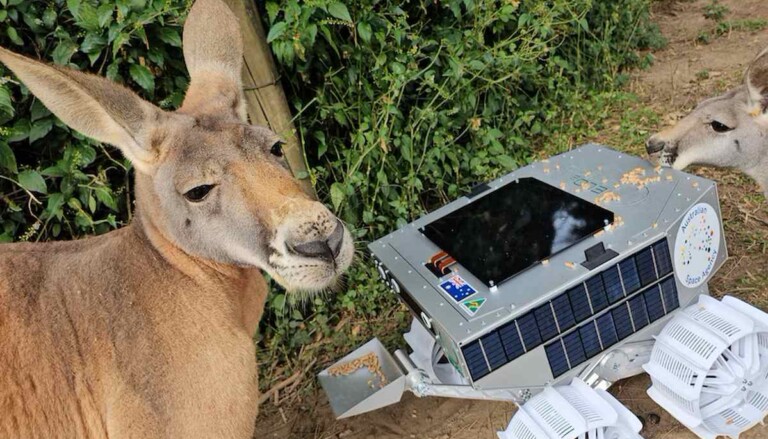 Australia’s first lunar rover, the ‘Roo-ver’ – credit: Australian Space Agency, supplied