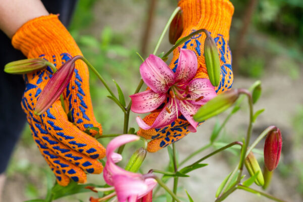 Transform Your Garden into a Pollinator Paradise: Why This Spring is the Perfect Time to Embrace Nectar-Rich Plants!