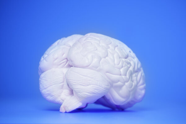 Unlocking the Mind: Revolutionary BCI Tech Translates Inner Speech into Secure Brain-Powered Passwords!